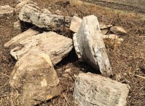 Paestum: lanciata raccolta fondi per salvare il tempio dorico trovato a giugno… Un progetto in collaborazione con la Soprintendenza di Salerno e Avellino, diretta da Francesca Casule, per indagare e tutelare lipotetico tempio presso le mura…