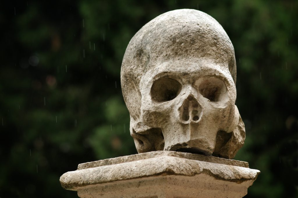 La Certosa di San Lorenzo ed il Museo Virtuale della Scuola Medica Salernitana aperti a ferragosto