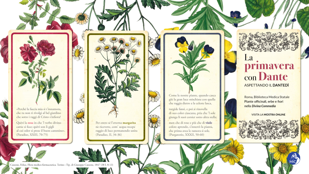 MINISTERO DELLA CULTURA. DANTEDI’ / Dante e larte della medicina – Omaggio alla primavera e alla poesia con le piante officinali della Divina Commedia