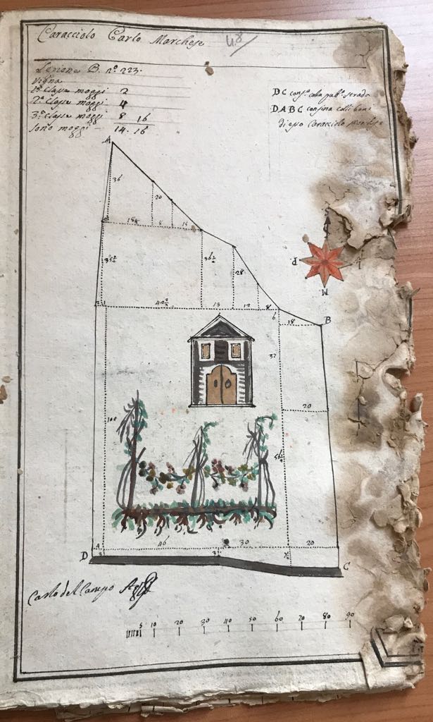 AVELLINO – Cultura e natura: il ciclo dei mesi