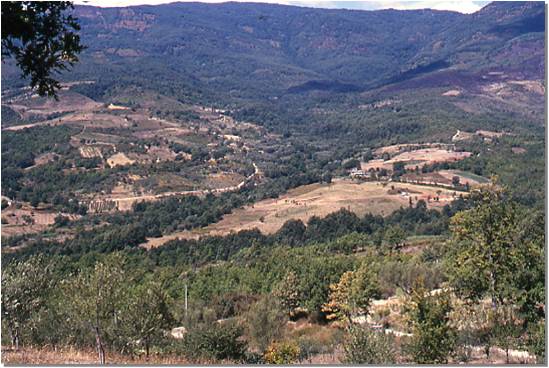 Giornata del Paesaggio 2021 – Laurelli, Caselle in Pittari (SA)