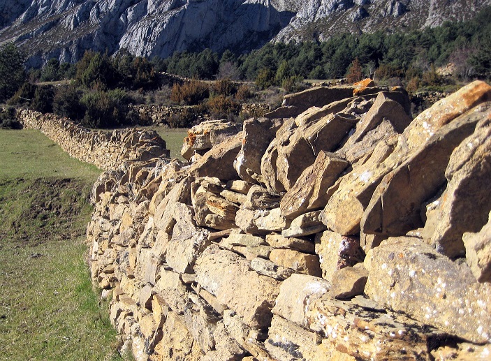 Giornata Nazionale del Paesaggio 2021 “Paesaggi terrazzati”