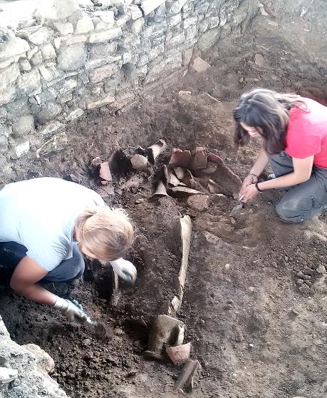 VELIA (SA) - Attivit di ricerca al Parco Archeologico di Velia