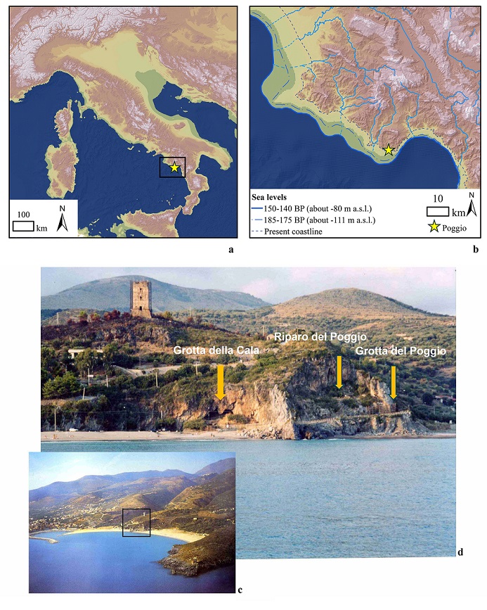 Recenti ricerche alla Grotta del Poggio (Marina di Camerota  Salerno) hanno fornito importanti novit sul popolamento dellItalia meridionale da parte dellUomo di Neanderthal